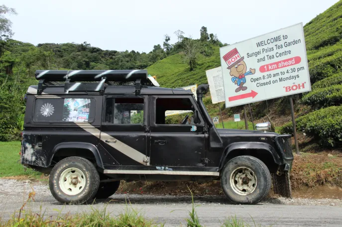 dimsum reizen maleisie cameron highlands boh thee plantage 2 3