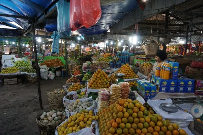 dimsum reizen sumatra berastagi
