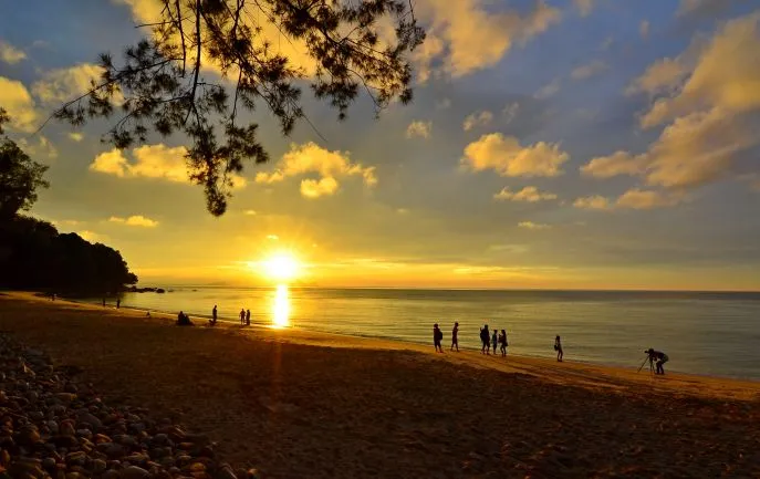 dimsum reizen naar damai beach permai rainforest lodge maleisi 4
