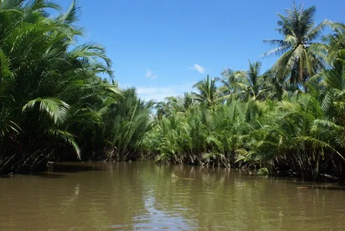 dimsum reizen cambodja kampot boottocht door mangroves met bootman bart