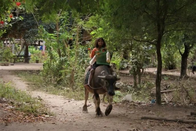 dimsum reizen noord cambodja plattelandsleven in stung treng noord cambodja