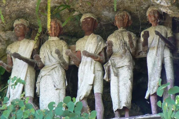 indonesie reizen met dimsum reizen familiereis sulawesi tana toraja