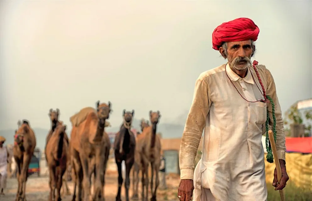 Sfeerafbeelding 0 india dimsum rondreis rajasthan
