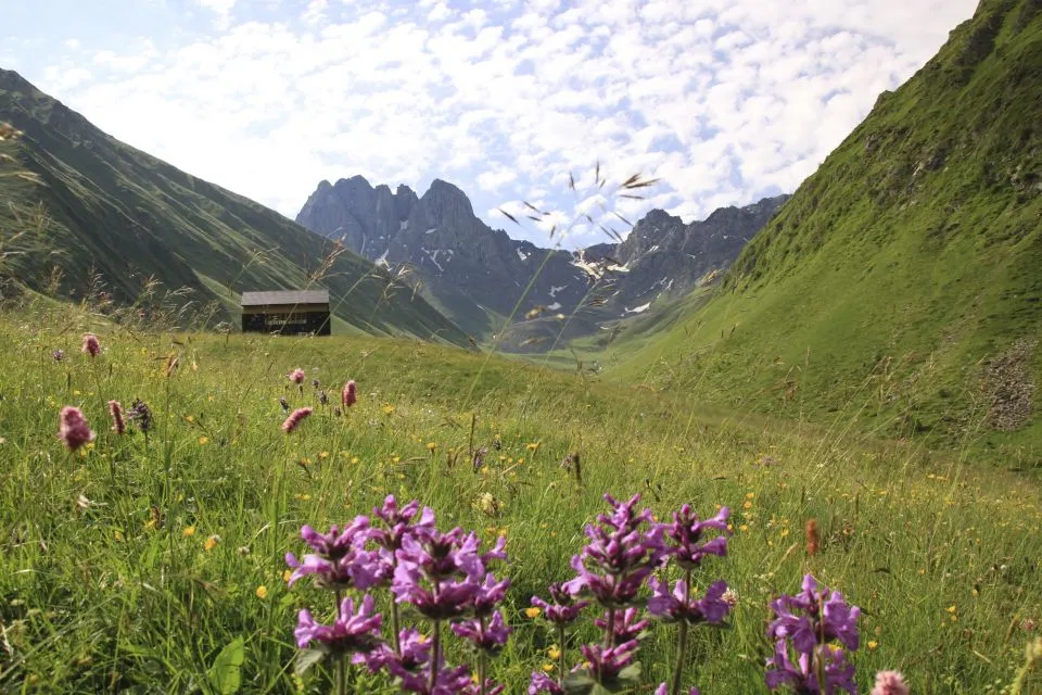 Sfeerafbeelding kazbegi juta 2