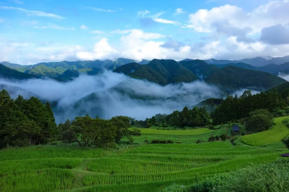 Sfeerafbeelding takahara groot