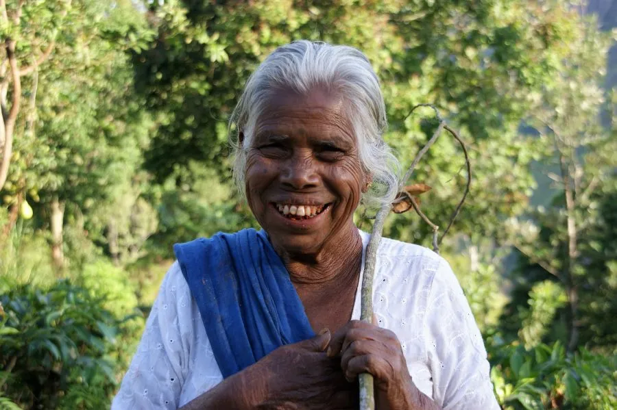 Sfeerafbeelding dimsum reizen sri lanka onbekend digana bouwsteen