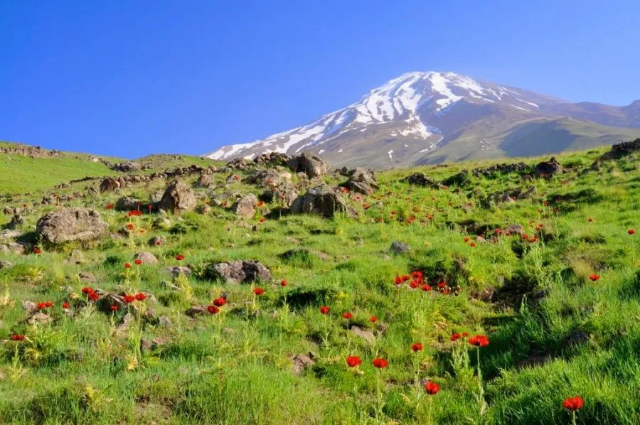 Sfeerafbeelding mount damavand trekking iran reis