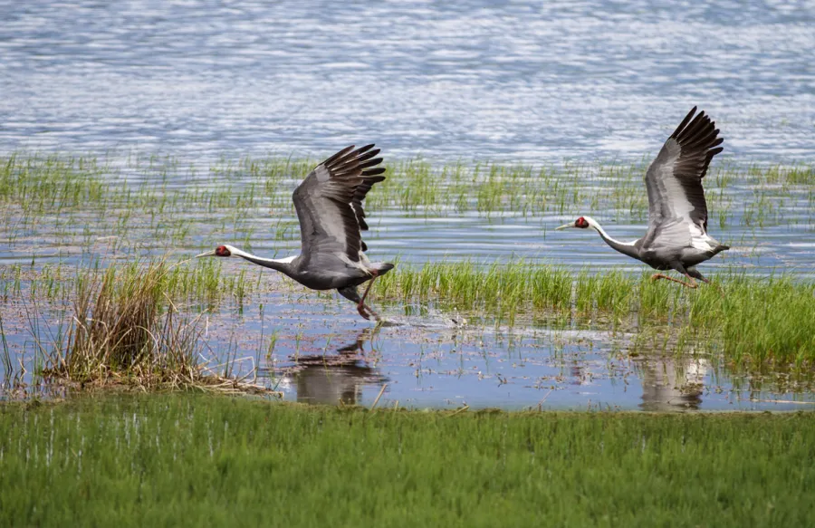 Sfeerafbeelding gungaluut natuurpark mongolie