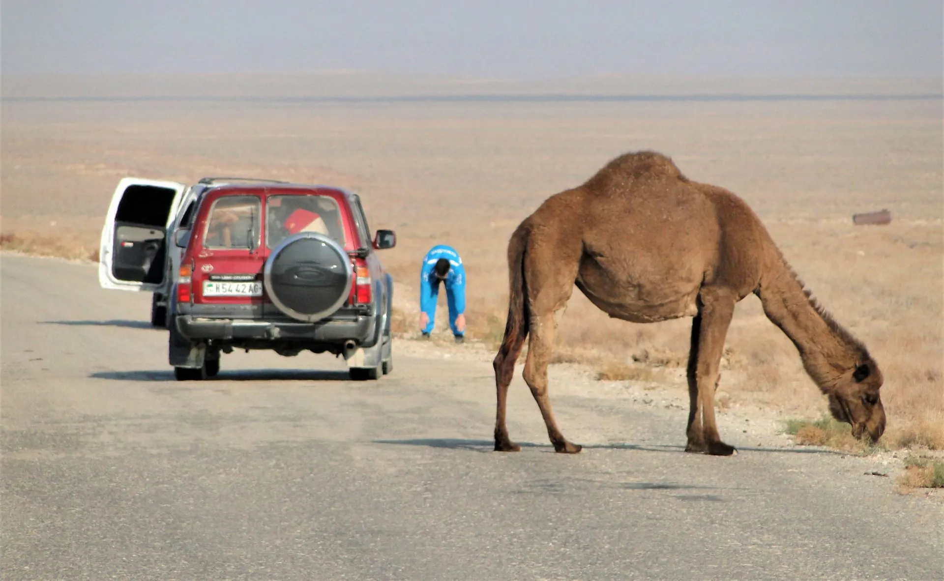 Sfeerafbeelding 3 dimsum actieve wandelreis turkmenistan wegen 2