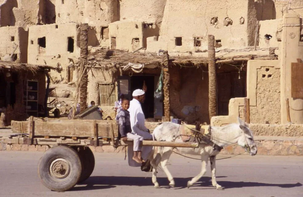 Sfeerafbeelding egypte siwa oasis dimsum reizen