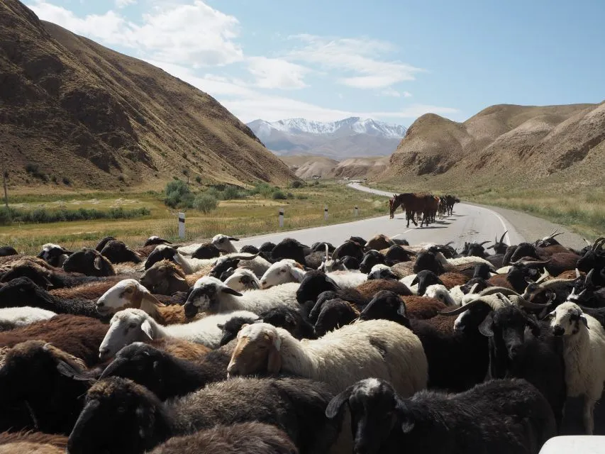 Sfeerafbeelding 10 dimsum kirgizstan avontuurlijke rondreis 3