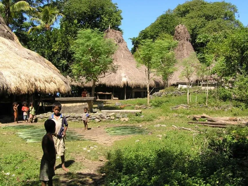 Sfeerafbeelding sumba indonesie dimsum