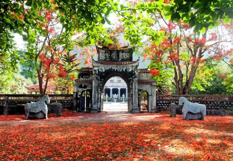 vietnam_reisspecialisten_dimsum_reizen